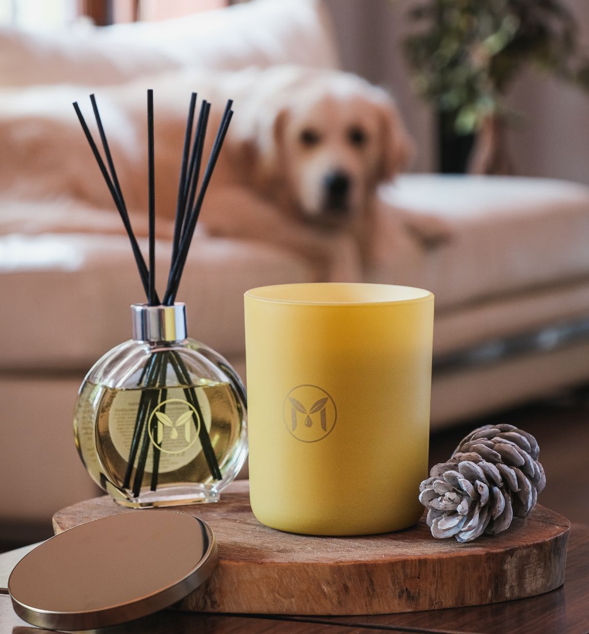 History of Scented Candles MyrrhUSA